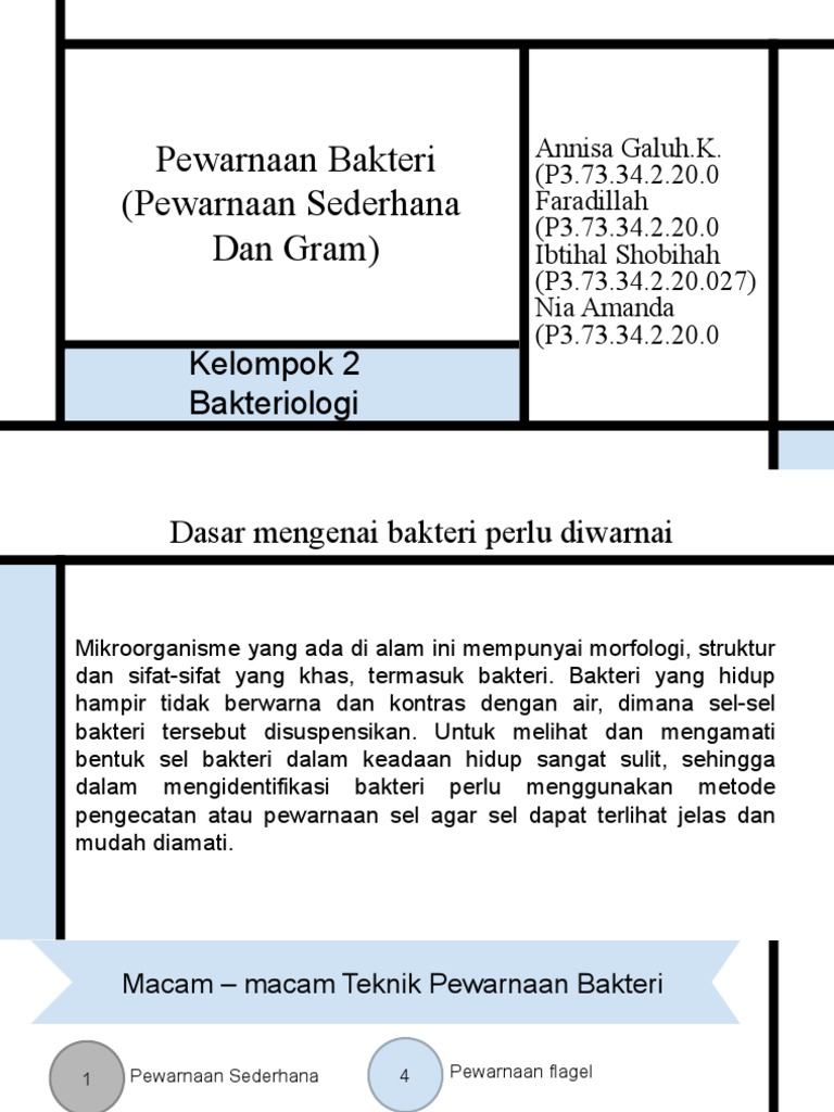 TEKNIK PEWARNAAN BAKTERI | PDF