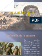 Paranthropus