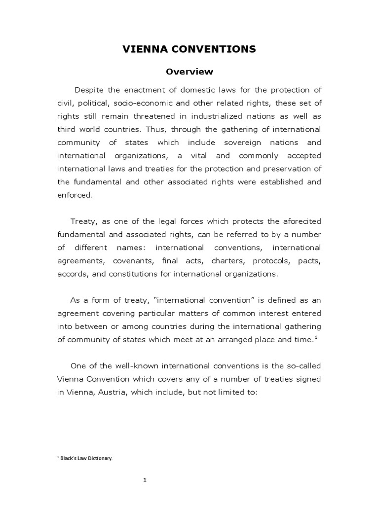 The Vienna Conventions and Protocols PDF Treaty International Law