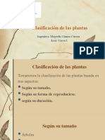 Clasificación de Las Plantas