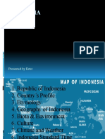 Indonesia (Recovered)