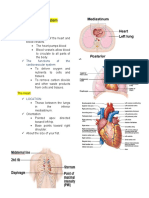 Cardiovascular System Word