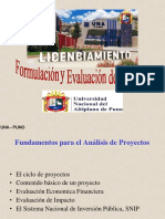 FORMULACION Y EVALUACION DE PROYECTO