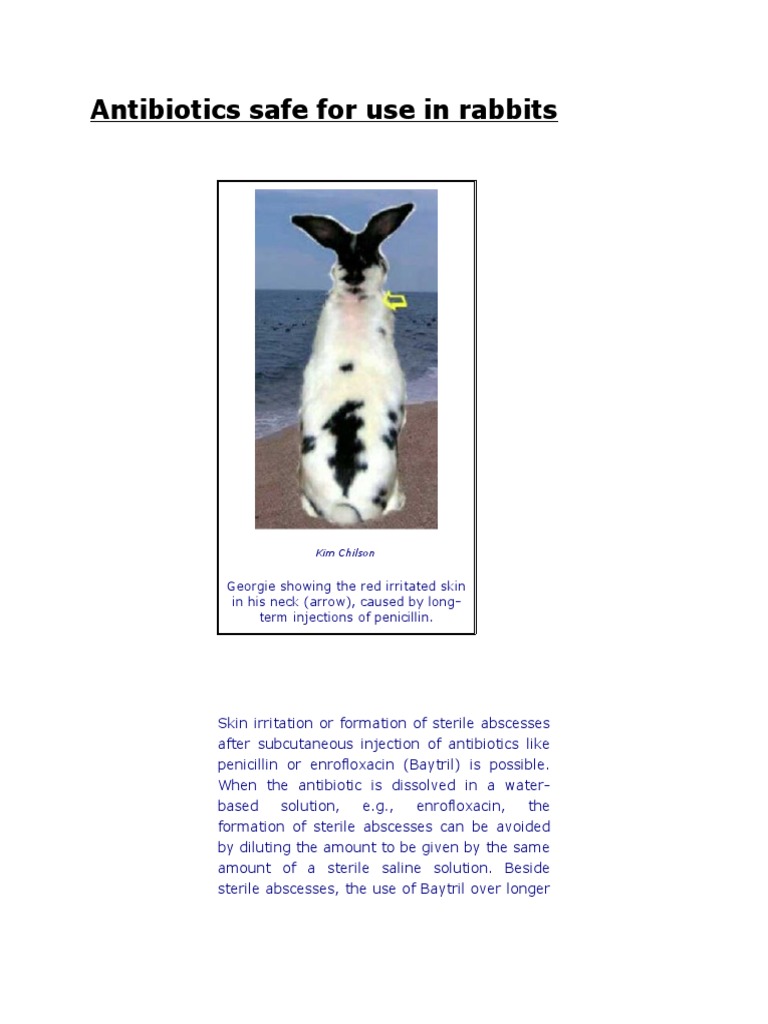 Safe antibiotics for rabbits skin issues | PDF | Pharmacy | Drugs