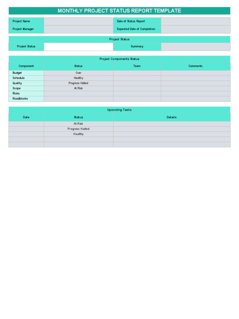 Monthly Project Status Report Template | PDF | Technology & Engineering
