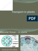 Transport in Plants