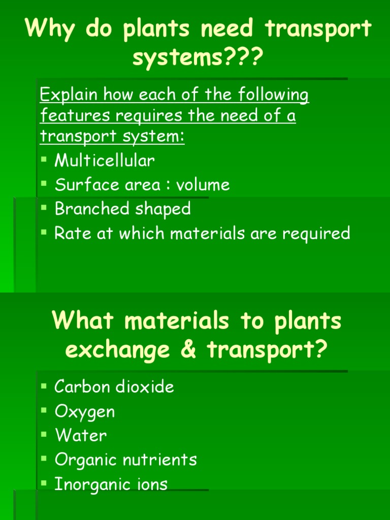 Why Do Plants Need Transport Systems??? PDF