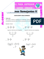 Terminos Semejantes Con Coeficiente Fraccionario para Quinto de Primaria