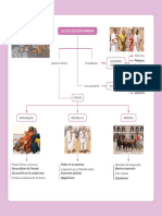 La Civilización Romana: Sociedad Desigual Patricios Minería