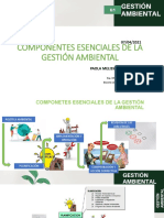 Ponentes Esenciales de La Gestión Ambiental