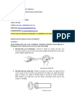 ACTIVIDADES 3-4 (2) Fisica