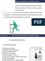 DDS Efeitos Do Choque Elétrico No Organismo Humano