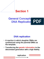 Section 1: General Concepts of DNA Replication