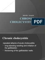 Chronic Cholecystitis: BSN208 - Group29