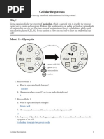 Kami Export - Nadia Gorman - (Template) 13 Cellular Respiration-S