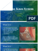 Calypso Knee System