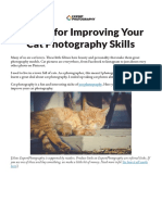 11 Tips For Improving Your Cat Photography Skills