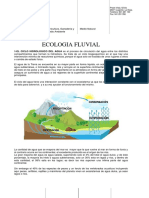 Tema 3 - ECOLOGIA FLUVIAL