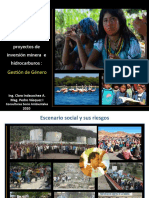 Requerimientos Socioambientales de Las Entidades Financieras para Los Proyectos de Inversión Minera e Hidrocarburos: Gestión de Género