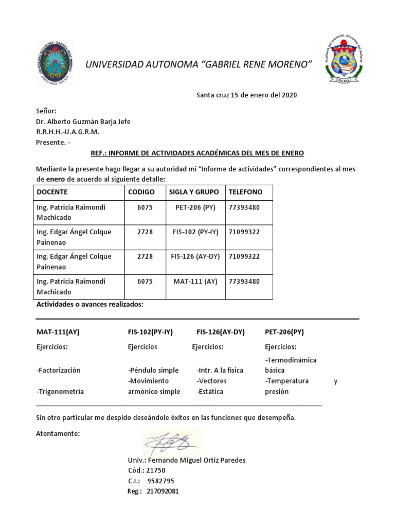 Informe Mensual ENERO 2020 | PDF | Tecnología
