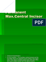 Permanent Max - Central Incisor