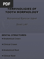 Palato-Labial Tooth Movement Z Spring: Uses | PDF | Dentistry ...