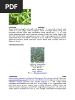 Download antikanker by Angga Rapfamz SN50535524 doc pdf