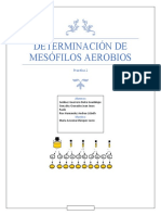 Practica 2-Determincion de Mesofilos Aerobios.