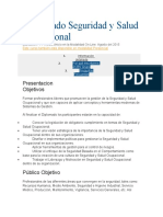 Diplomado Seguridad y Salud Ocupacional-BS GROUP