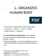 A Well Organized Human Body