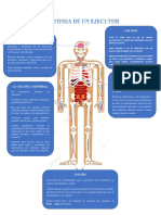 Anatomia de Un Ejecutor