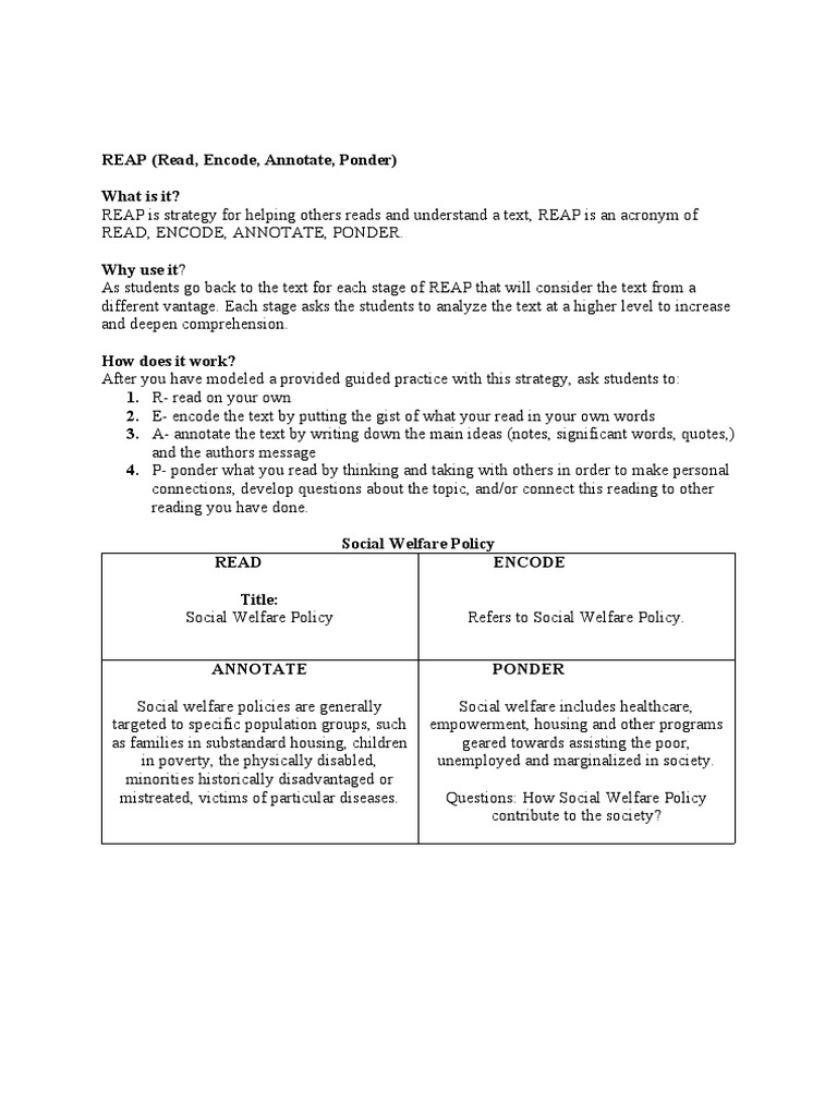 REAP Strategy for Social Welfare Policy | PDF | Self-Improvement ...