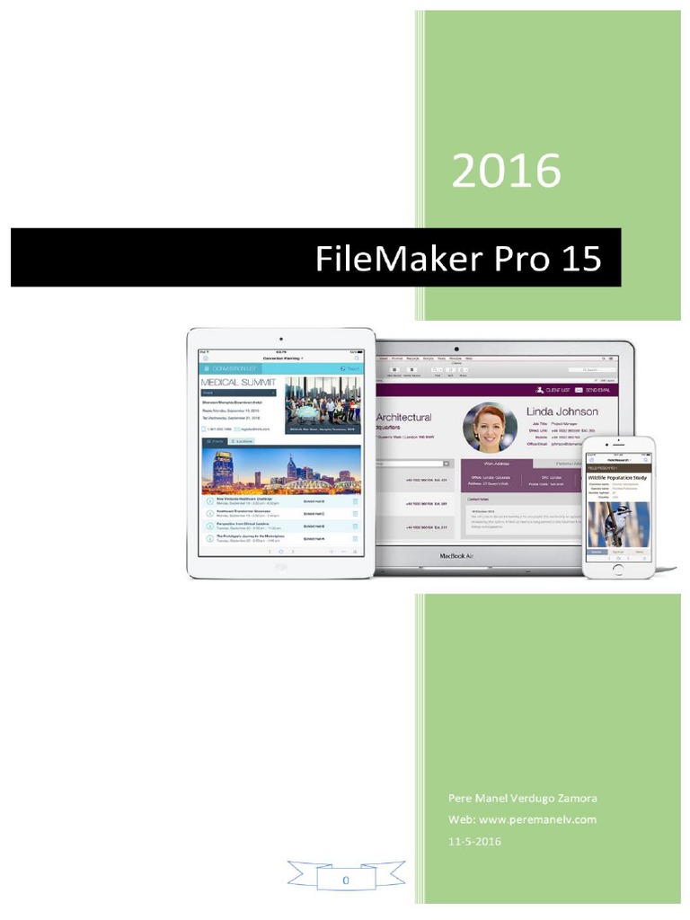 Filemaker 15 | PDF