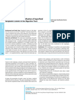 Update On The Paris Classification of Superficial Neoplastic Les 2005