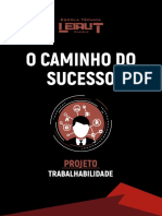 eBook - Caminho Do Sucesso!