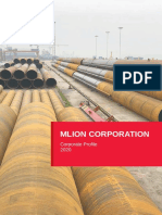 Mlion-Company Profile (2020)