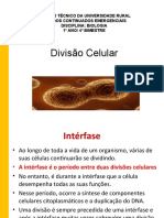 BIOLOGIA_divisocelular_17-03_21