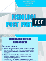 Fisiologis Post Partum