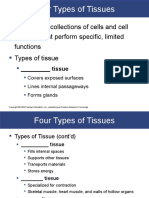 Four Types of Tissues