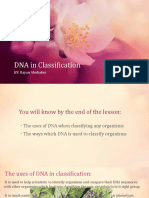 DNA in Classification: BY: Rayan Abubaker