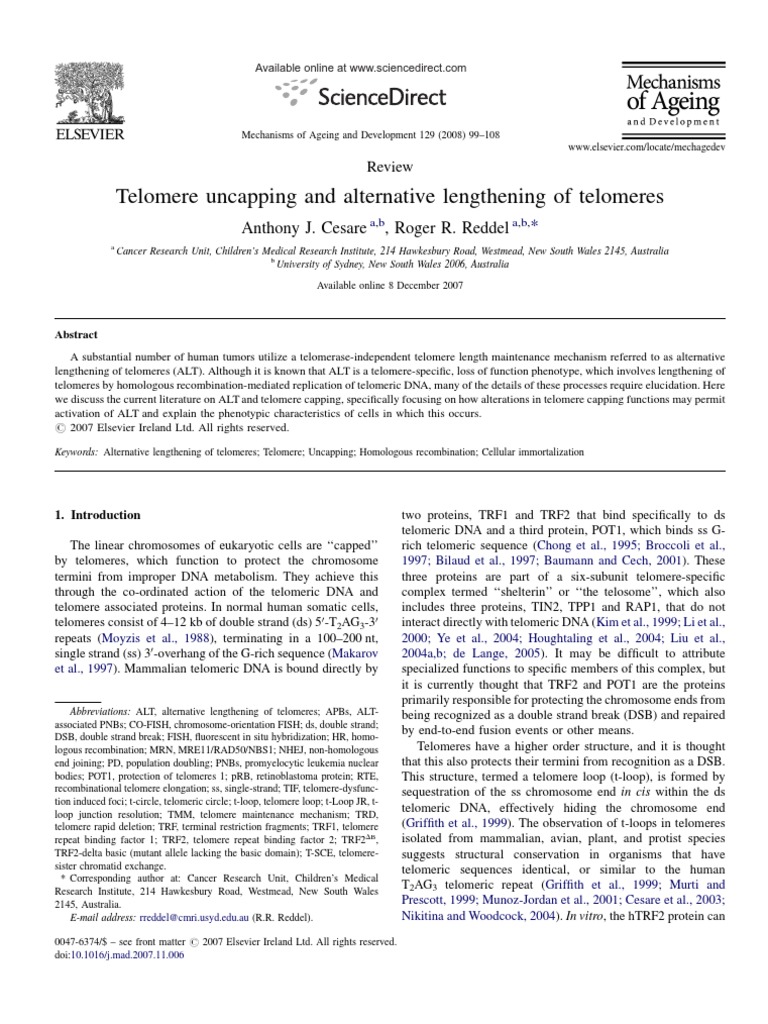 Telomere Uncapping and Alternative Lengt Biology Diagrams