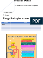 Sistem Peredaran Darah Tahun 5