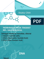 Struktur DNA