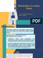 Metabolisme Air Dalam Tubuh