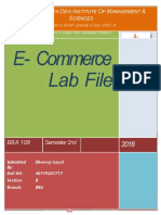 E Commerce File.file Converted