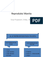 Reproduksi Wanita