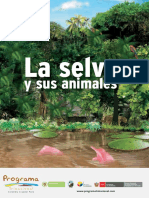 La Selva y Sus Animales 1 1