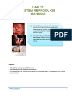 11. REPRODUKSI 2-dikonversi