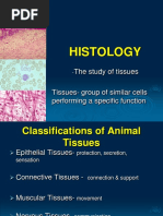 Specialized Connective Tissue Overview | PDF | Bone | Osteoblast