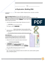 DNA replication and the importance of copying DNA